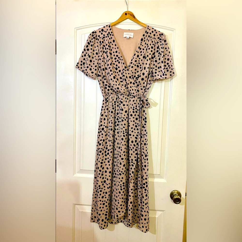 French Grey Beautiful Pale Pink Polka Dot Dress from StitchFix